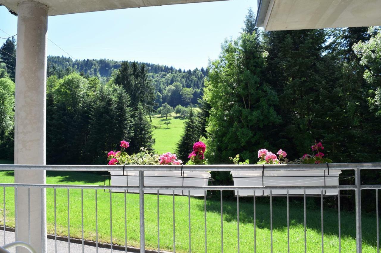 Ferienwohnung Im Dettenbachtal Вальдкирх Экстерьер фото