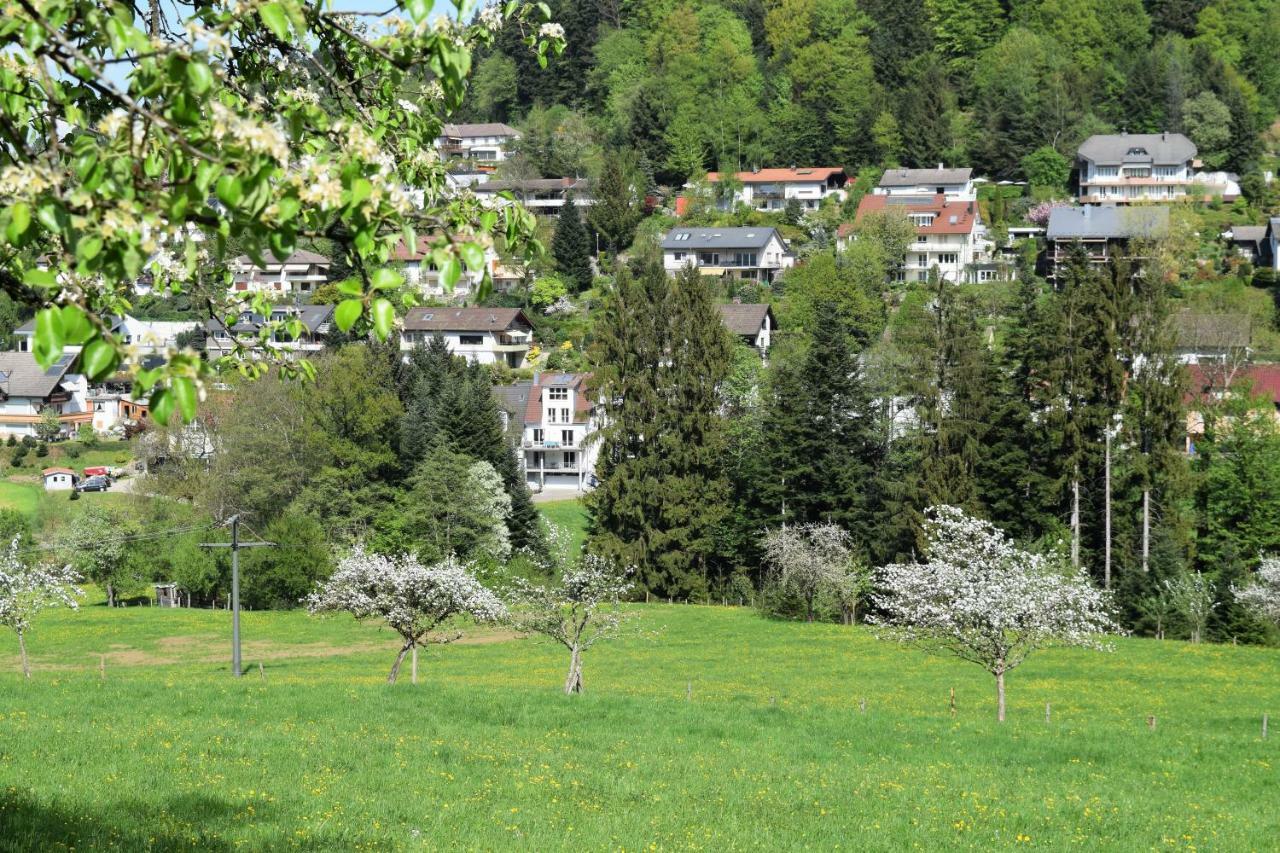 Ferienwohnung Im Dettenbachtal Вальдкирх Экстерьер фото