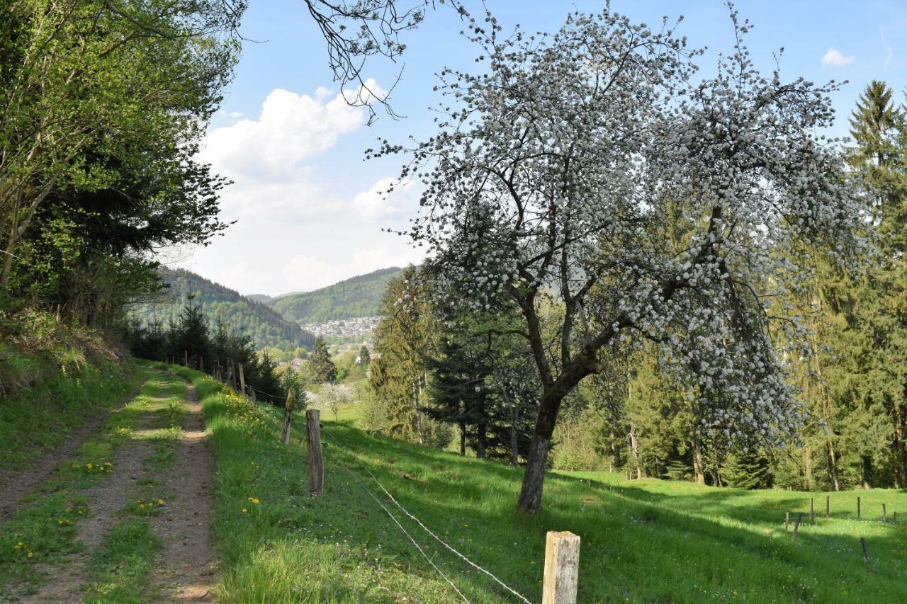 Ferienwohnung Im Dettenbachtal Вальдкирх Экстерьер фото