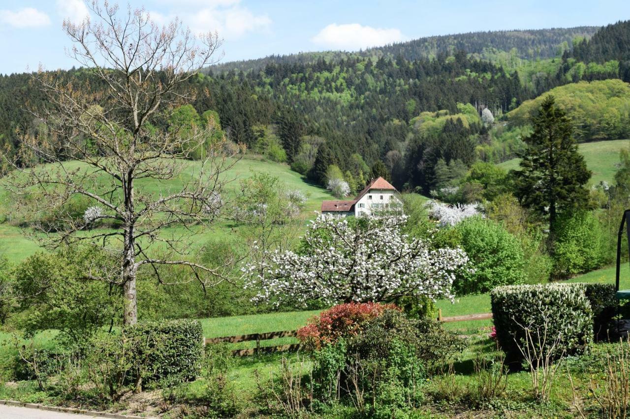Ferienwohnung Im Dettenbachtal Вальдкирх Экстерьер фото
